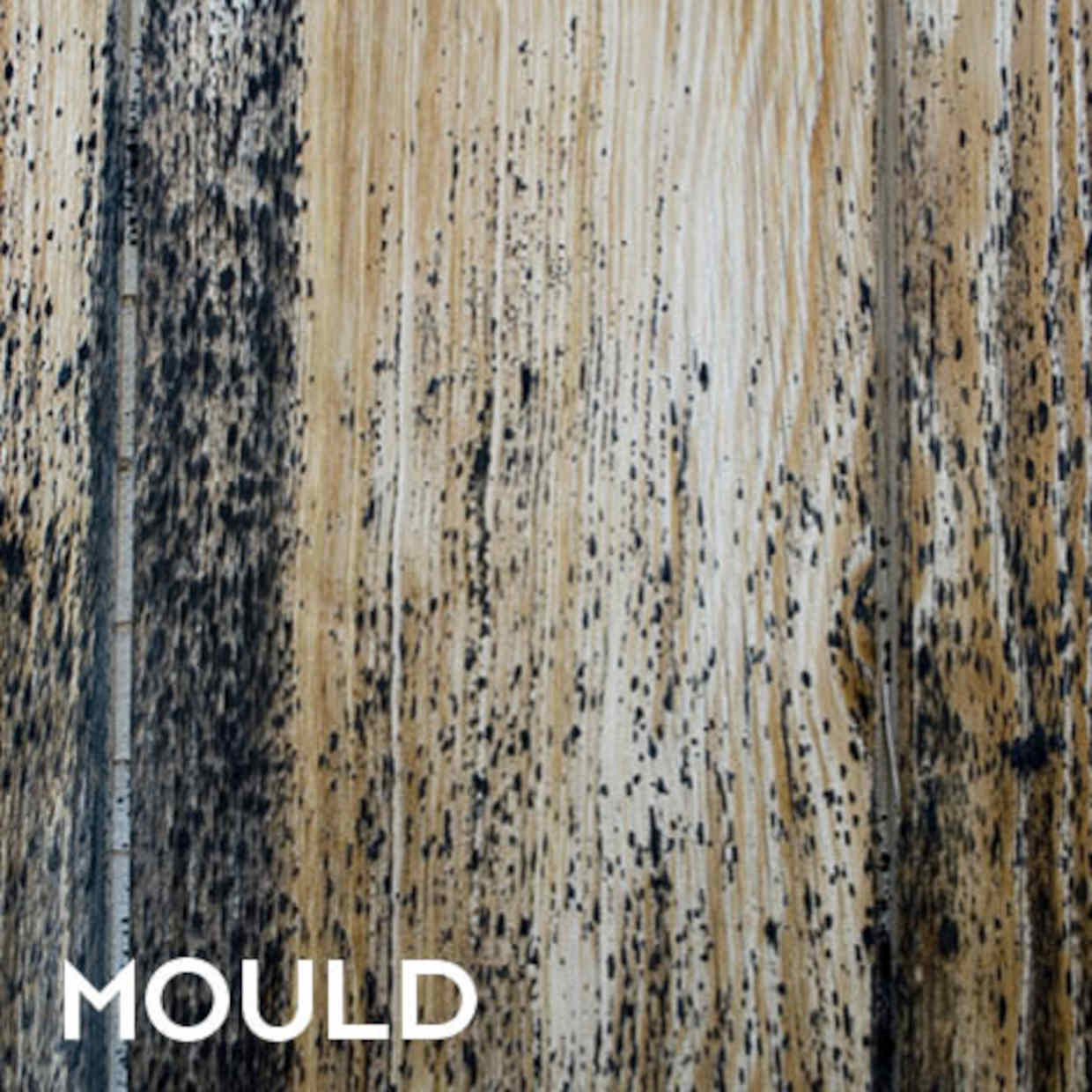 EQUISOL_Null_Mould_Killer_Decking_Supplies_Online