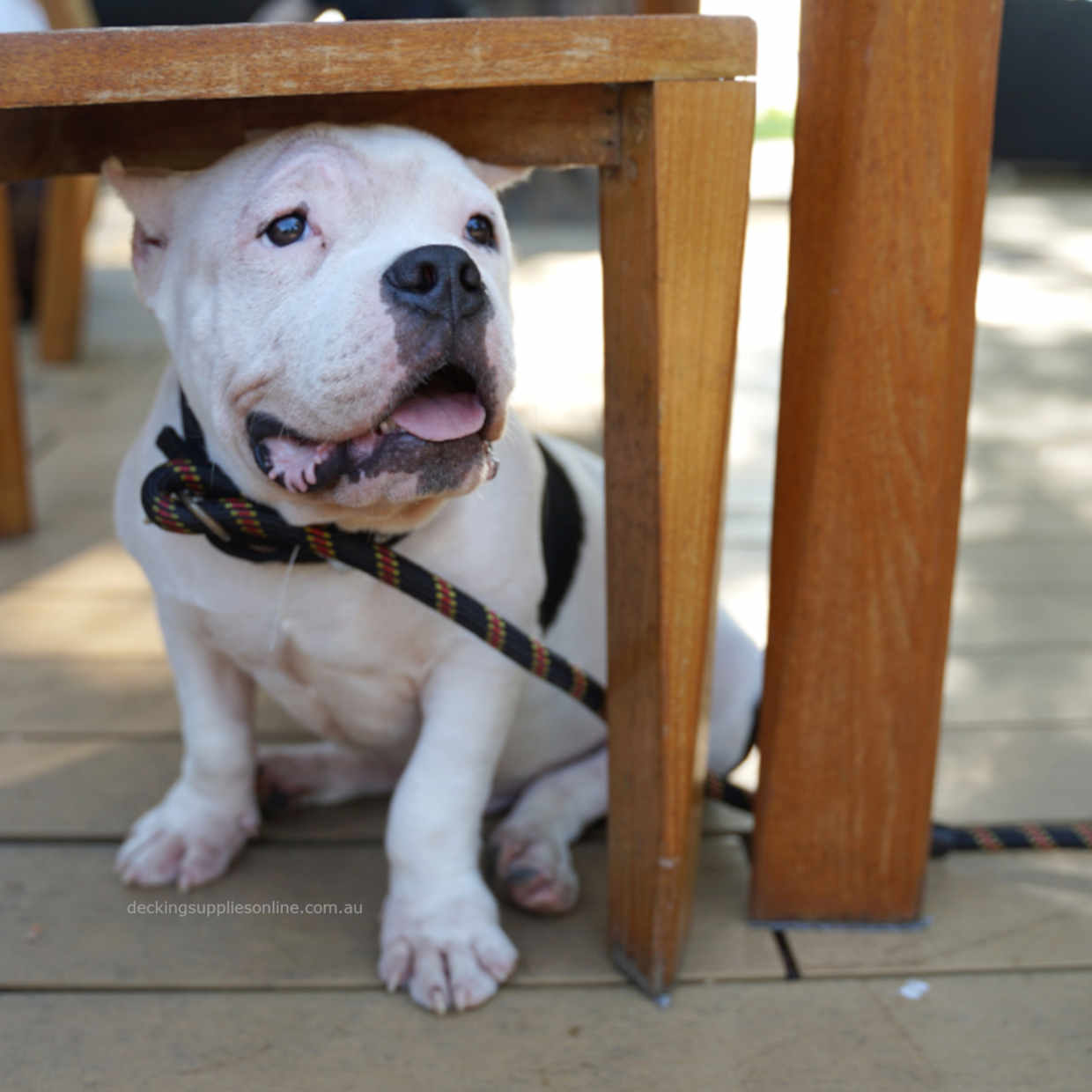 STARBORN_Decking_Supplies_Online_01